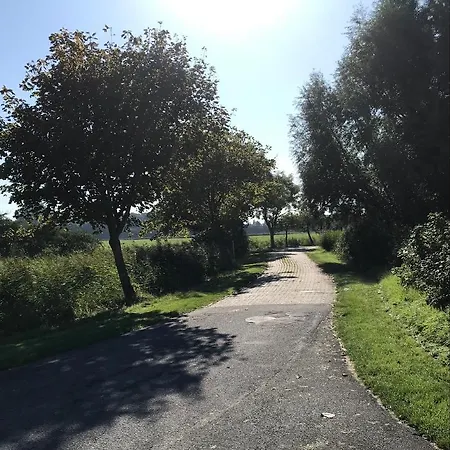 Koch Eg Adult Only * Schillig